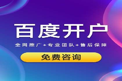 百度推广与SEO结合案例：提升网站排名的技巧